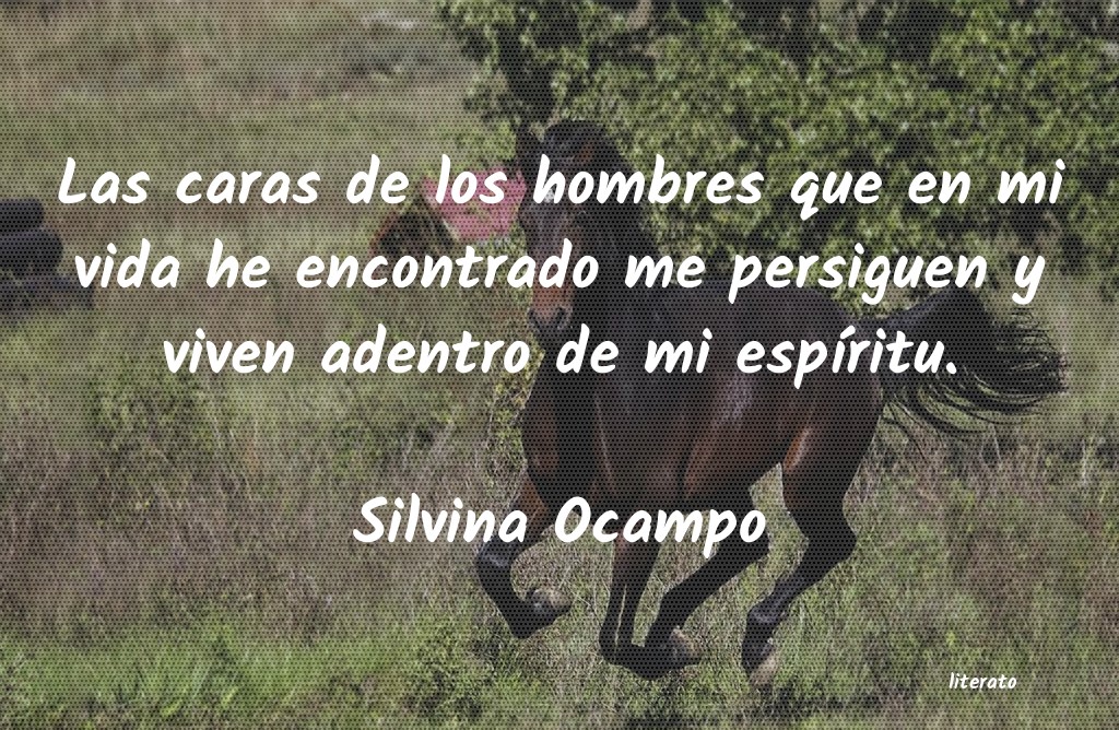 Frases de Silvina Ocampo