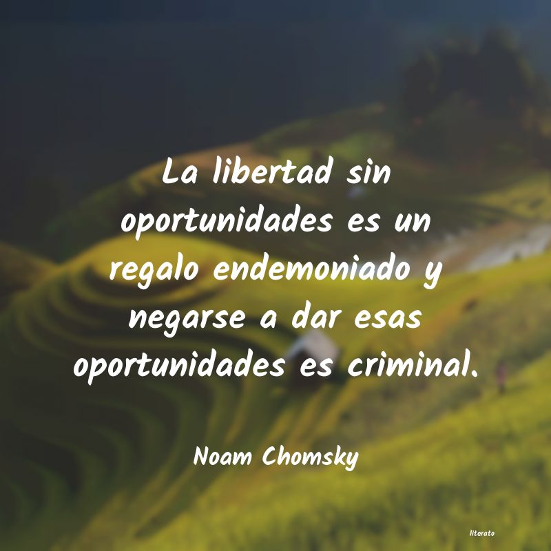 Frases de Noam Chomsky