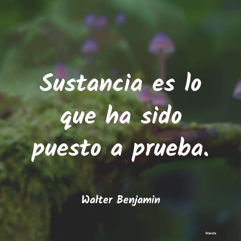 Frases de Walter Benjamin