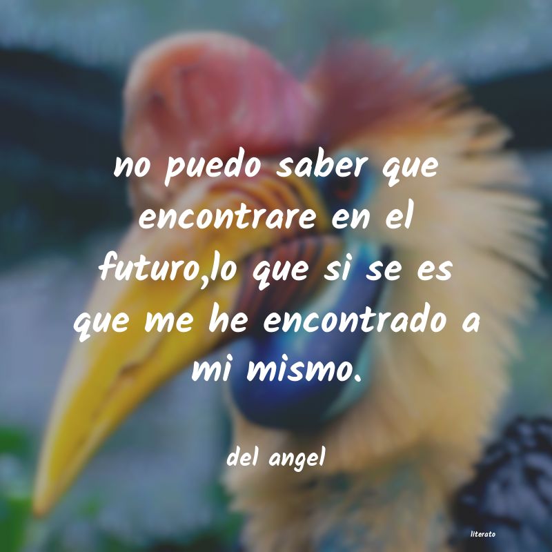 frases de del angel