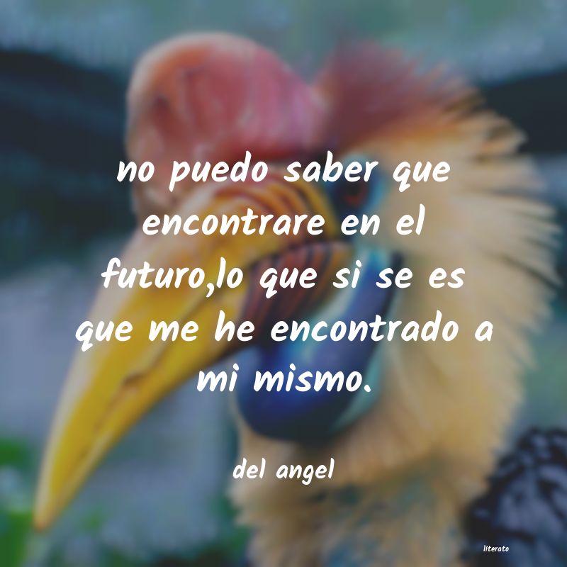 Frases de del angel