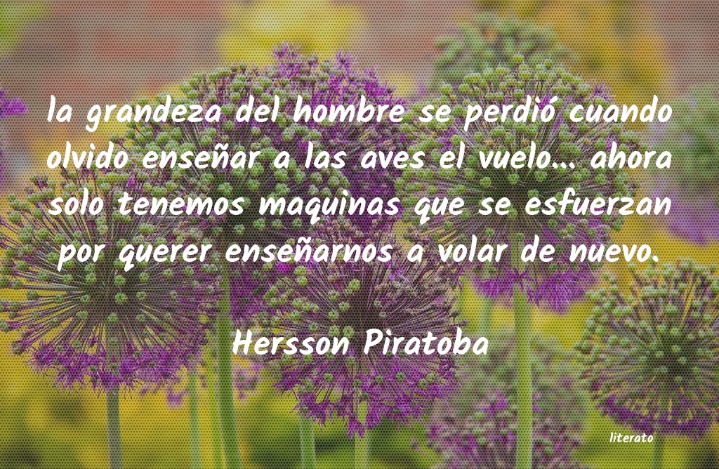 Frases de Hersson Piratoba