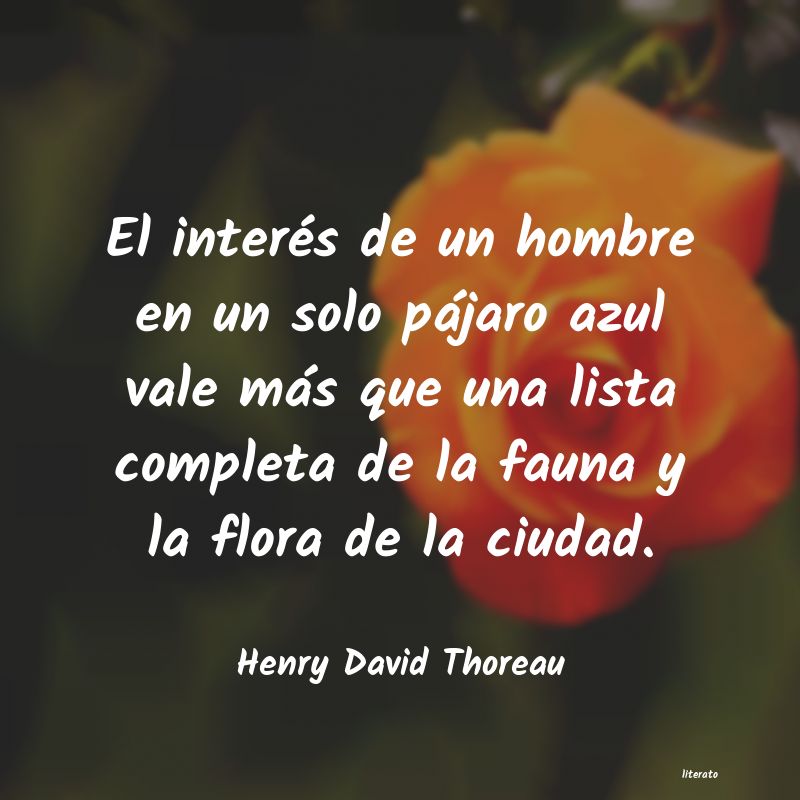 frases de Henry David Thoreau