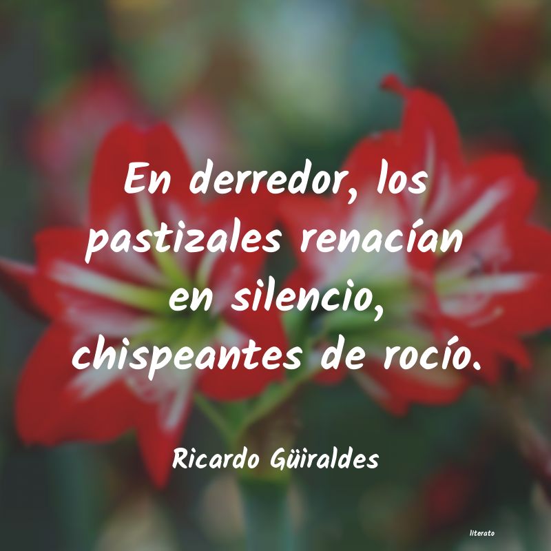 frases de Ricardo GÃ¼iraldes