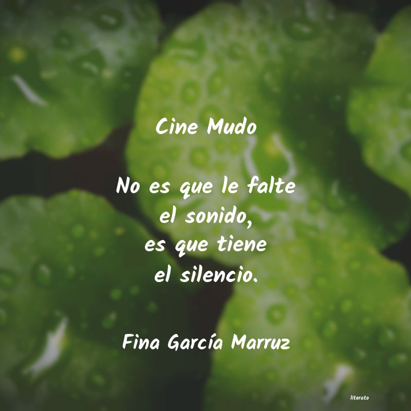 Frases de Fina García Marruz