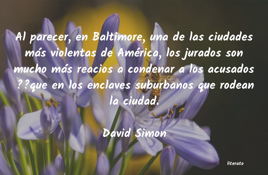Frases de David Simon