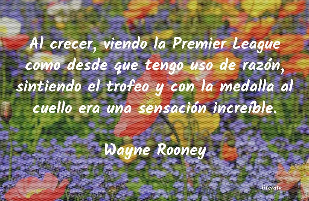 frases de Wayne Rooney