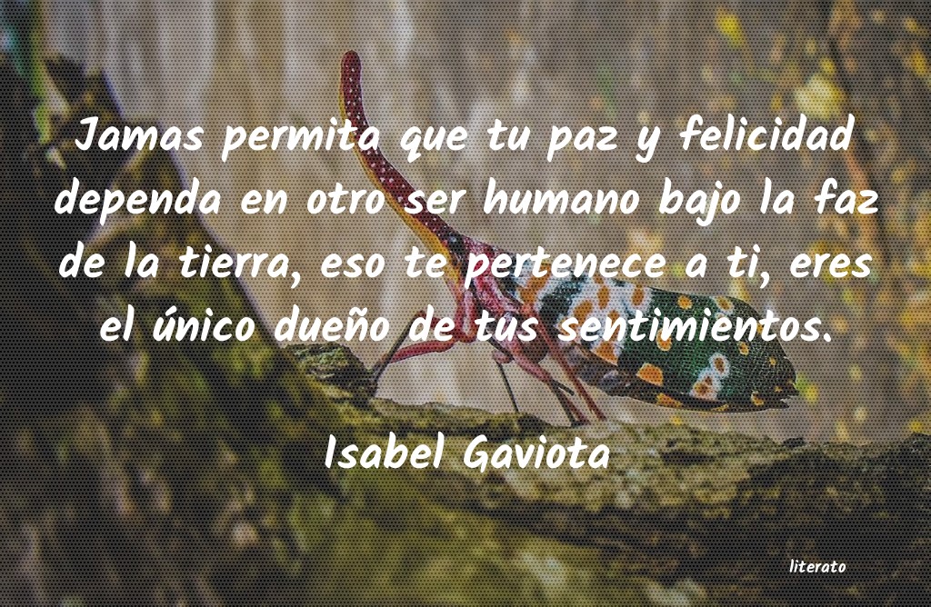 frases de Isabel Gaviota