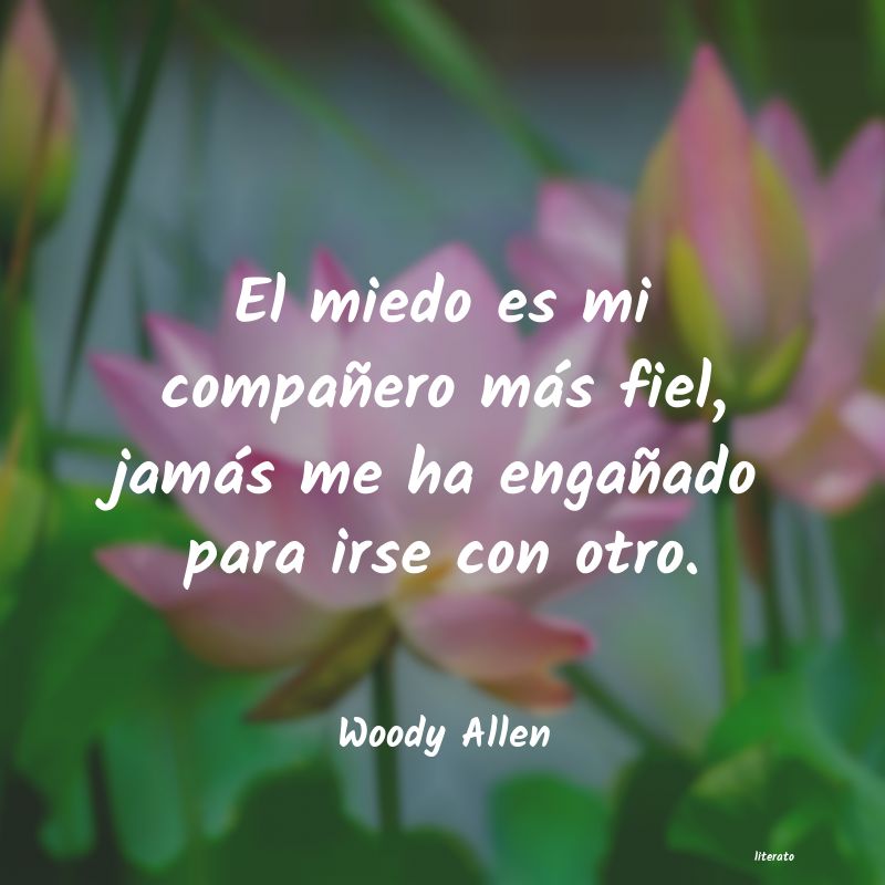 Frases de Woody Allen