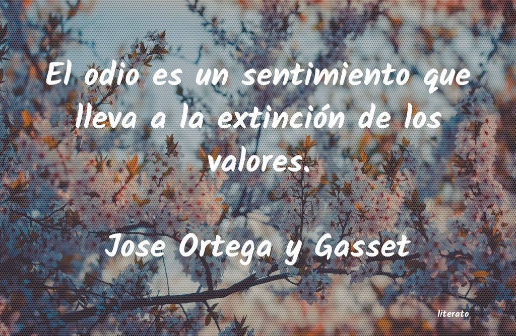 Frases de Jose Ortega y Gasset
