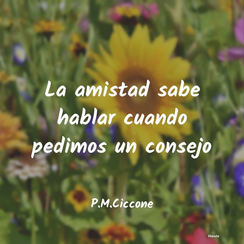 Frases de P.M.Ciccone