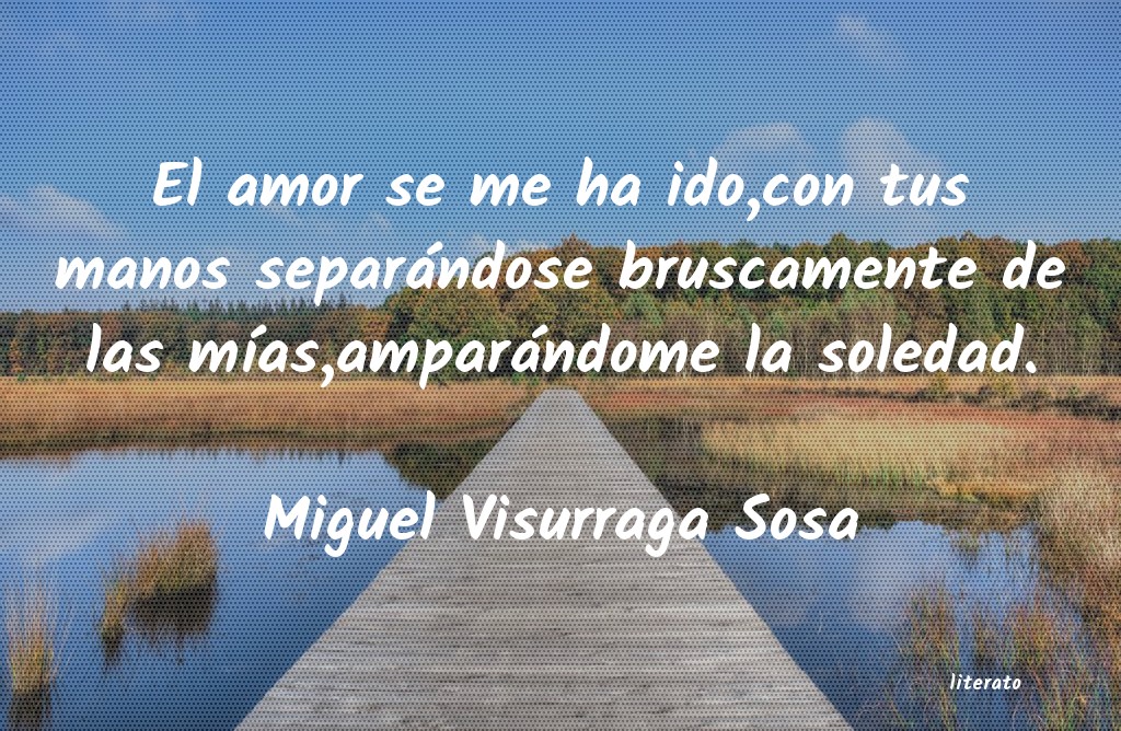 frases de Miguel Visurraga Sosa