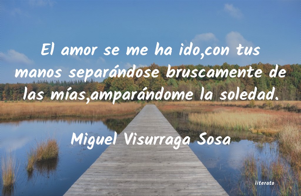 Frases de Miguel Visurraga Sosa