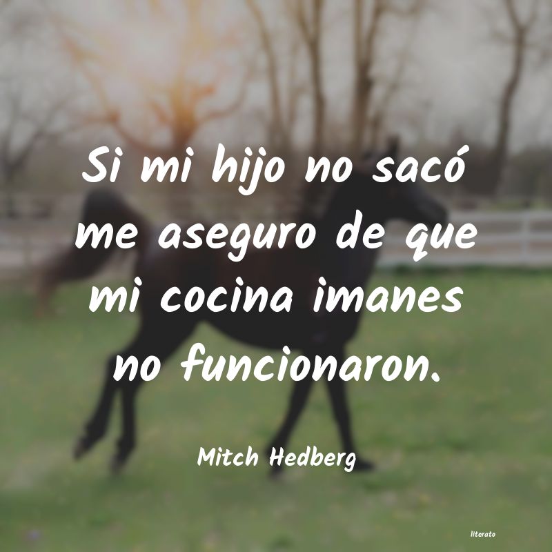 Frases de Mitch Hedberg