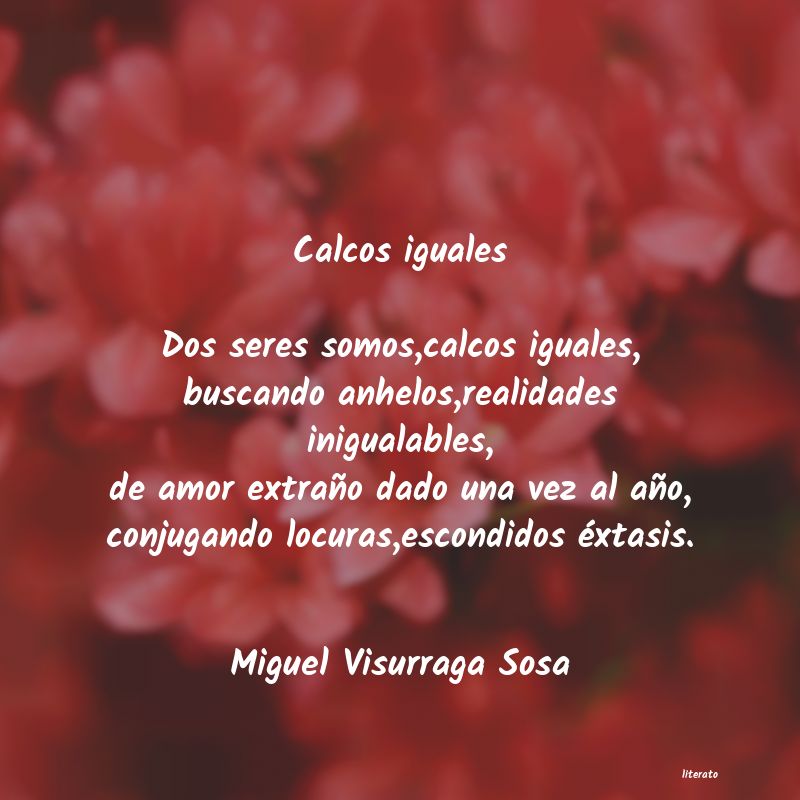 Frases de Miguel Visurraga Sosa