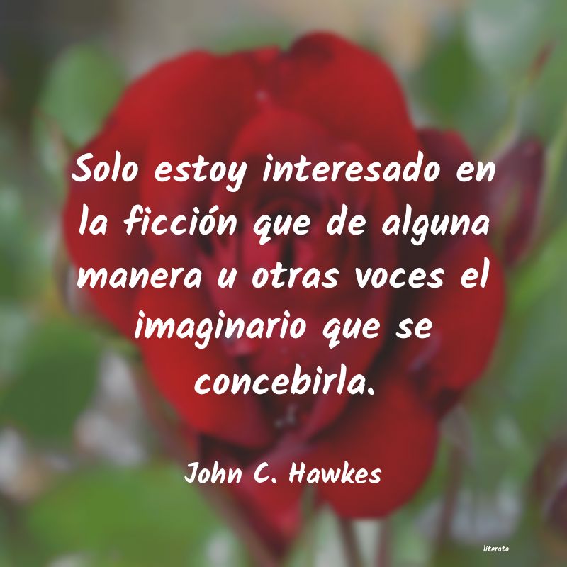 Frases de John C. Hawkes