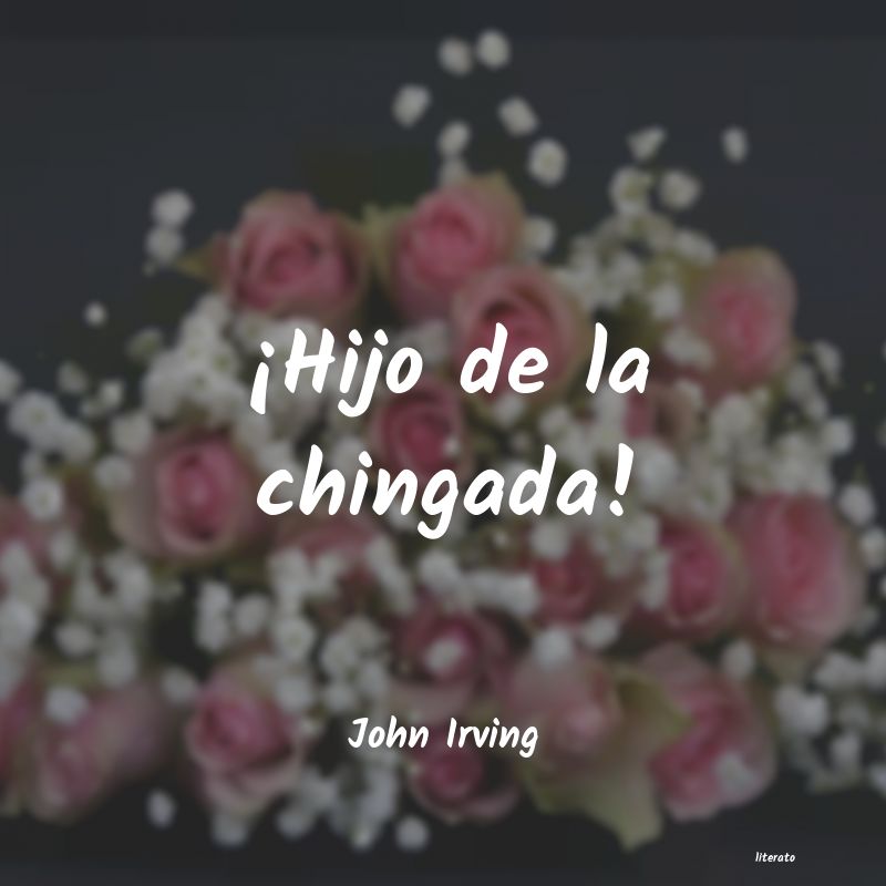 Frases de John Irving