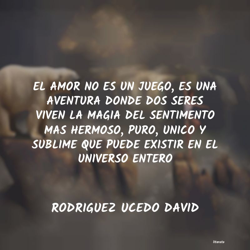 Frases de RODRIGUEZ UCEDO DAVID