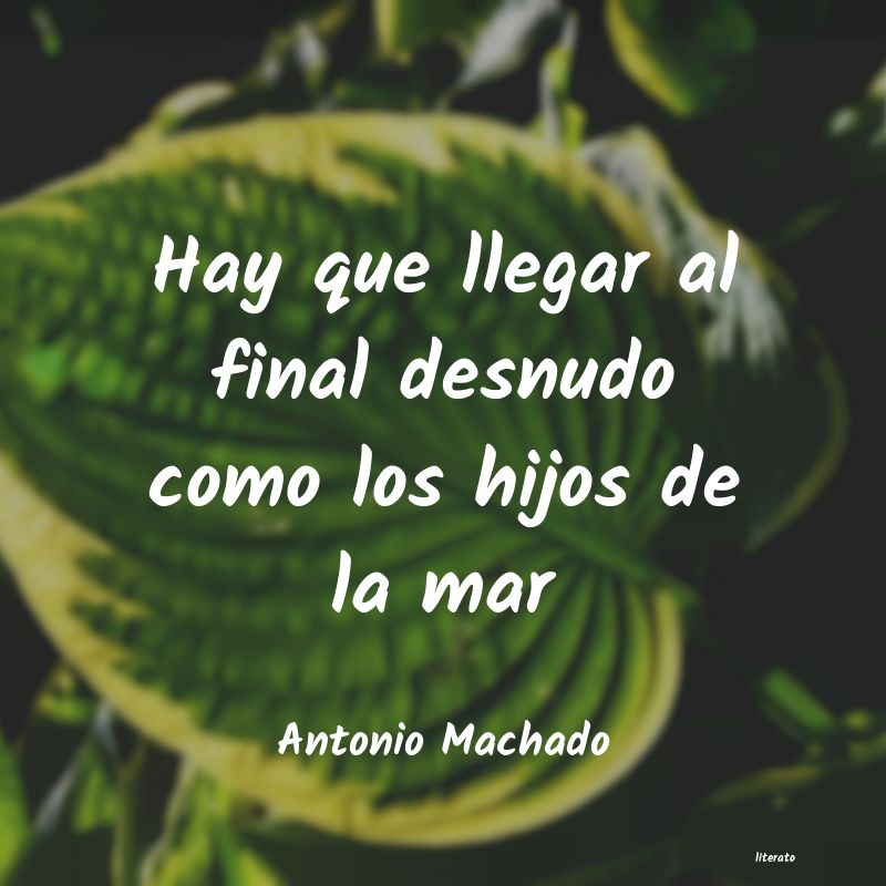 Frases de Antonio Machado