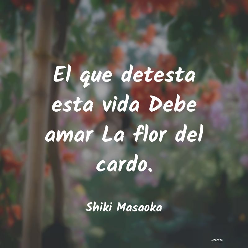 frases de Shiki Masaoka
