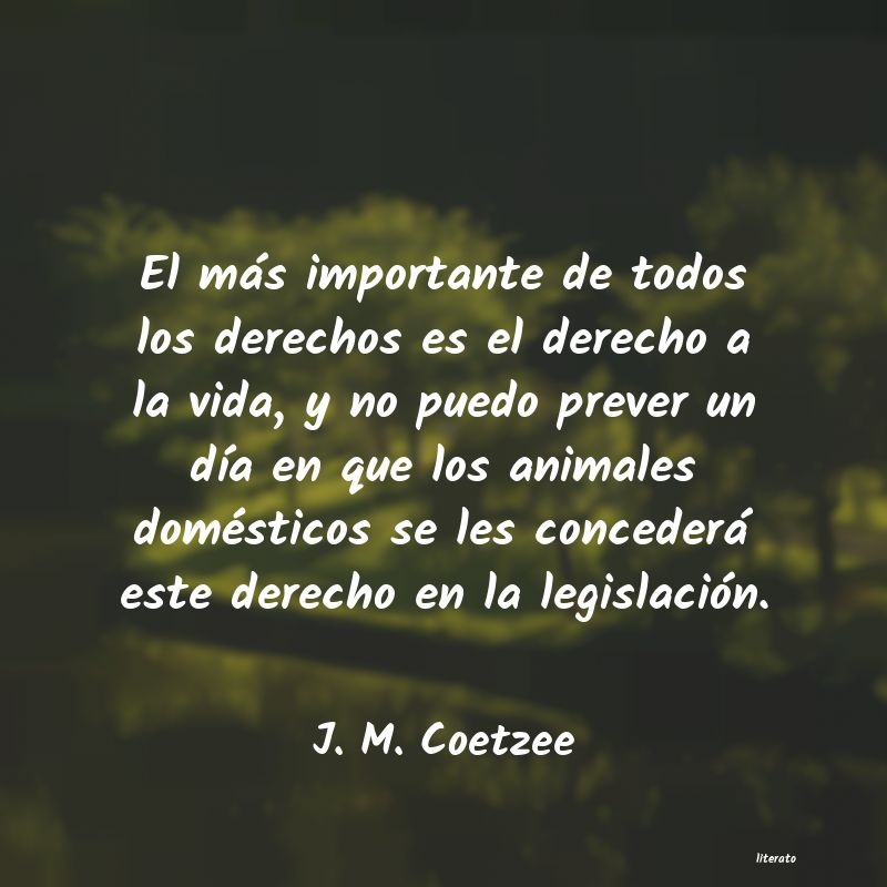 frases de J. M. Coetzee