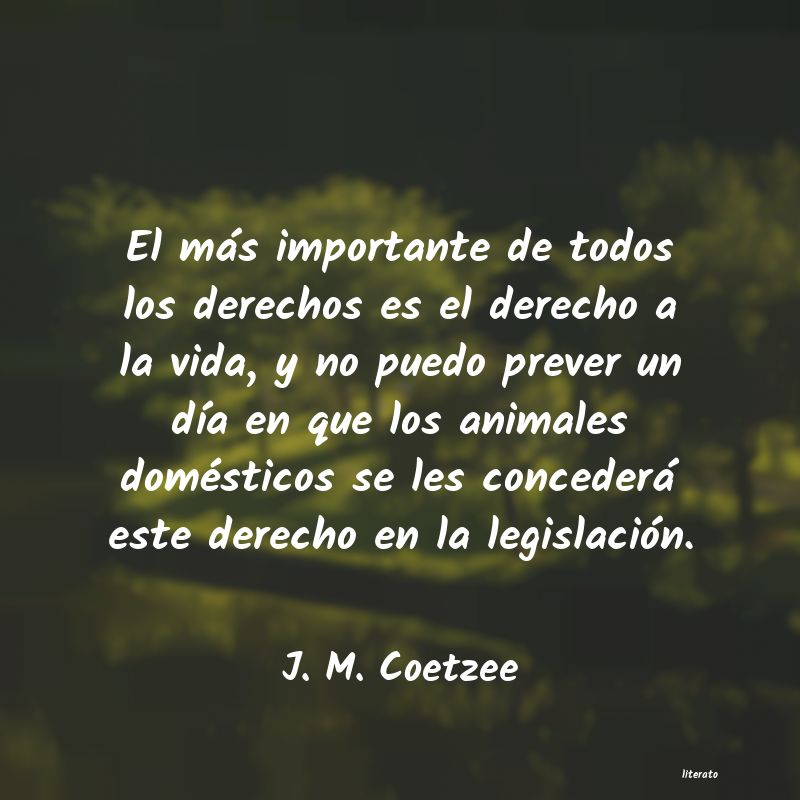 Frases de J. M. Coetzee