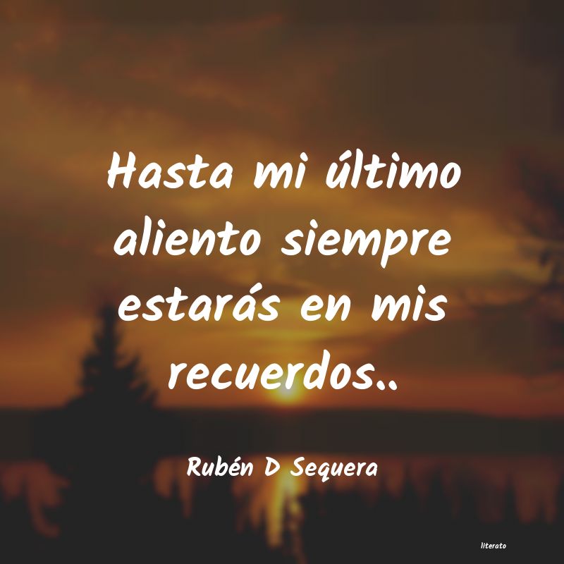 Frases de Rubén D Sequera