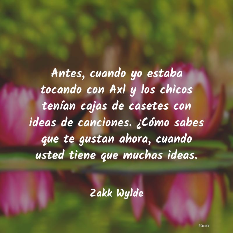 frases de Zakk Wylde