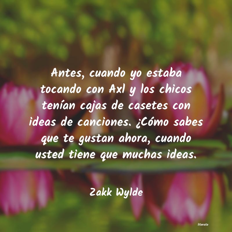 Frases de Zakk Wylde