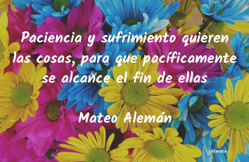 Frases de Mateo Alemán