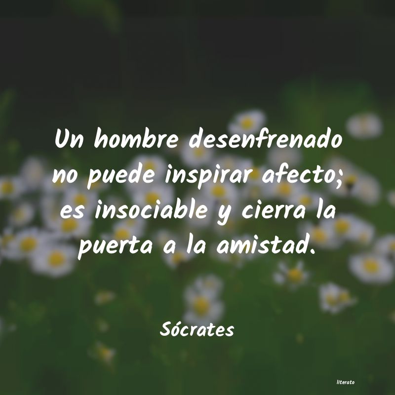 frases de Sócrates