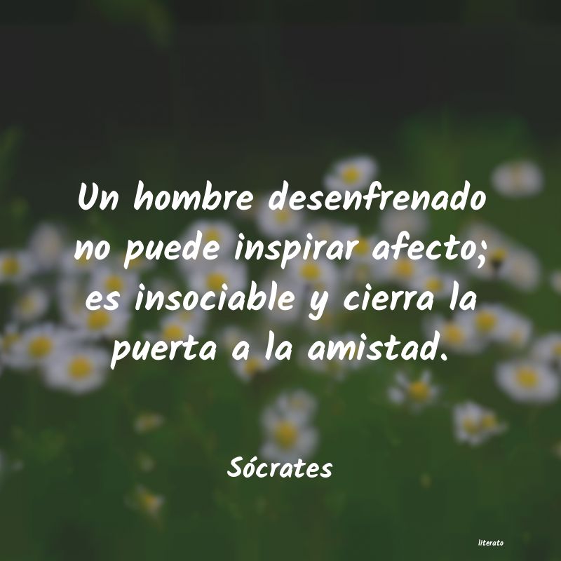 Frases de Sócrates