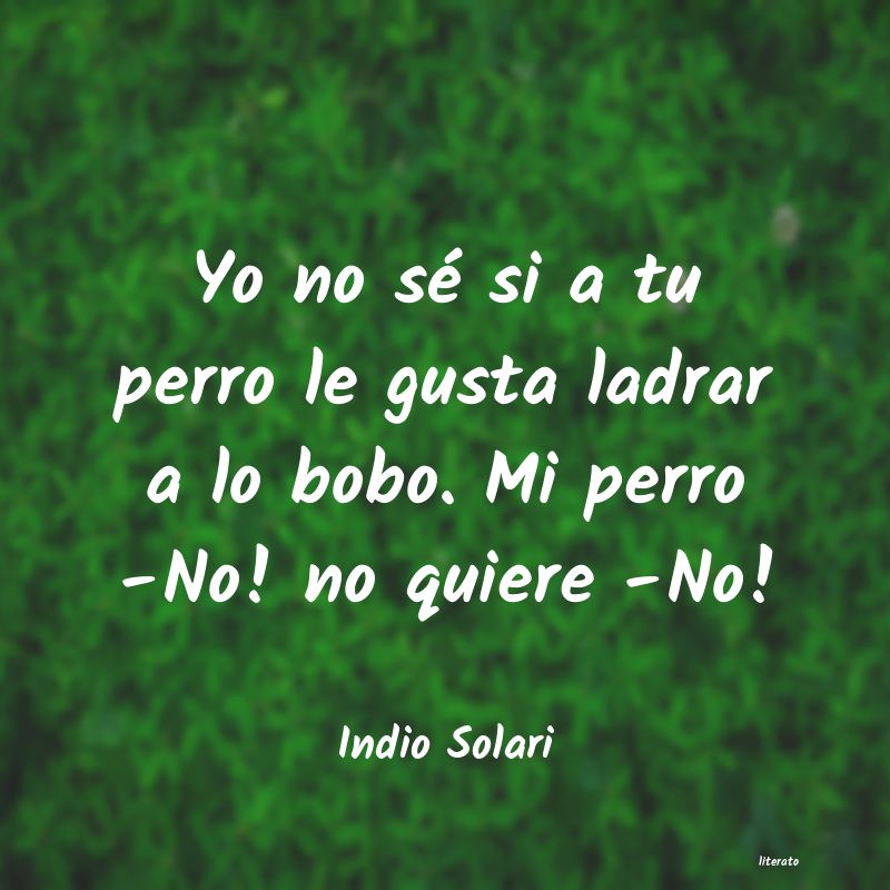 frases de Indio Solari