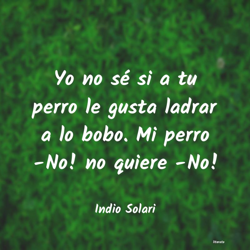 Frases de Indio Solari