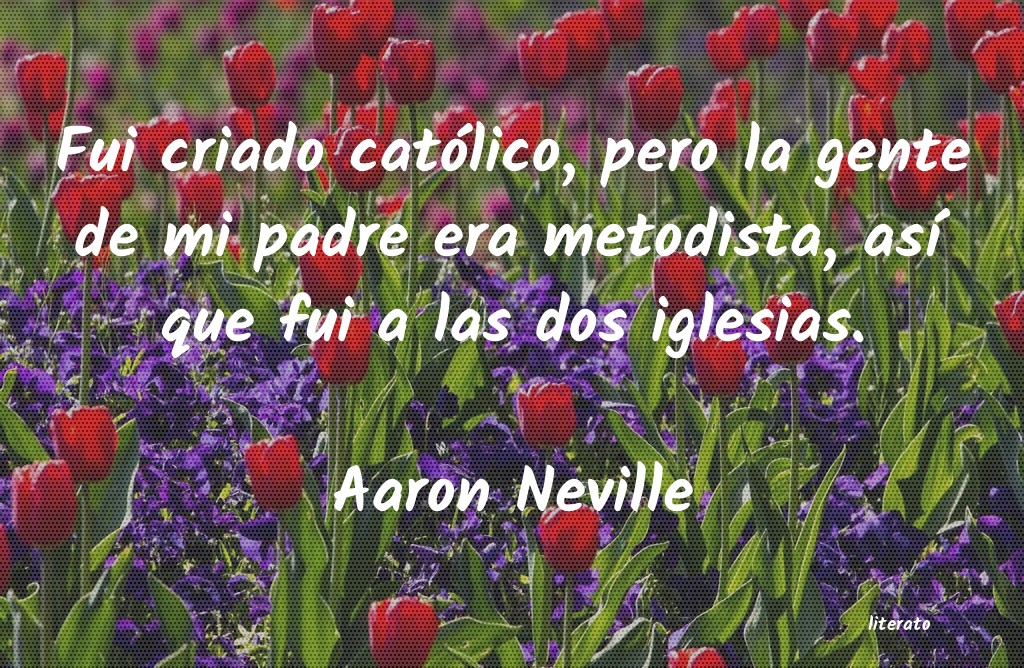 frases de Aaron Neville