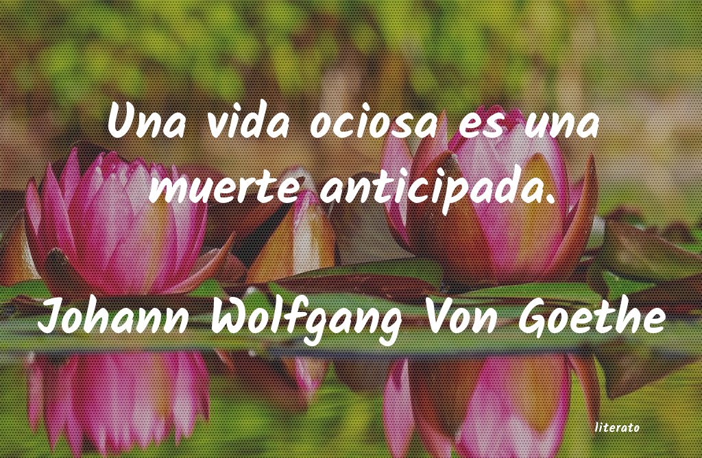 frases de Johann Wolfgang Von Goethe
