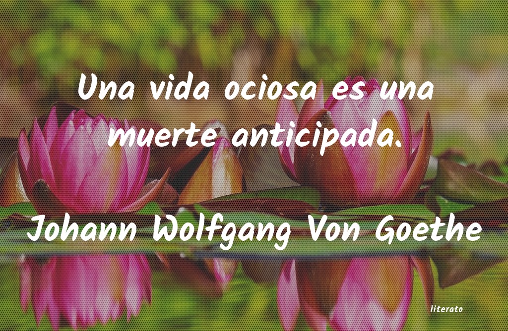 Frases de Johann Wolfgang Von Goethe