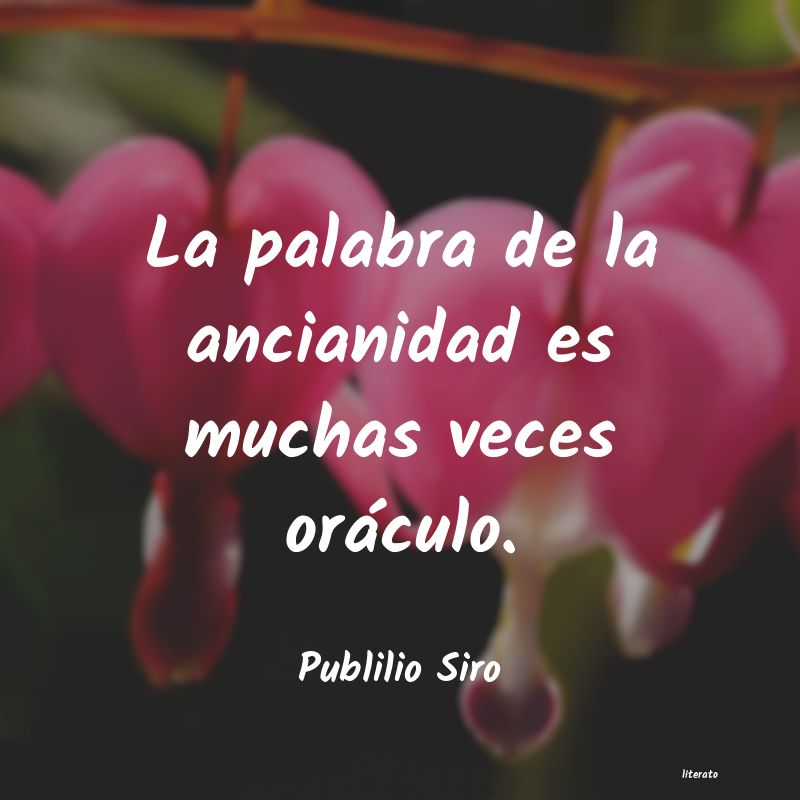 frases de Publilio Siro