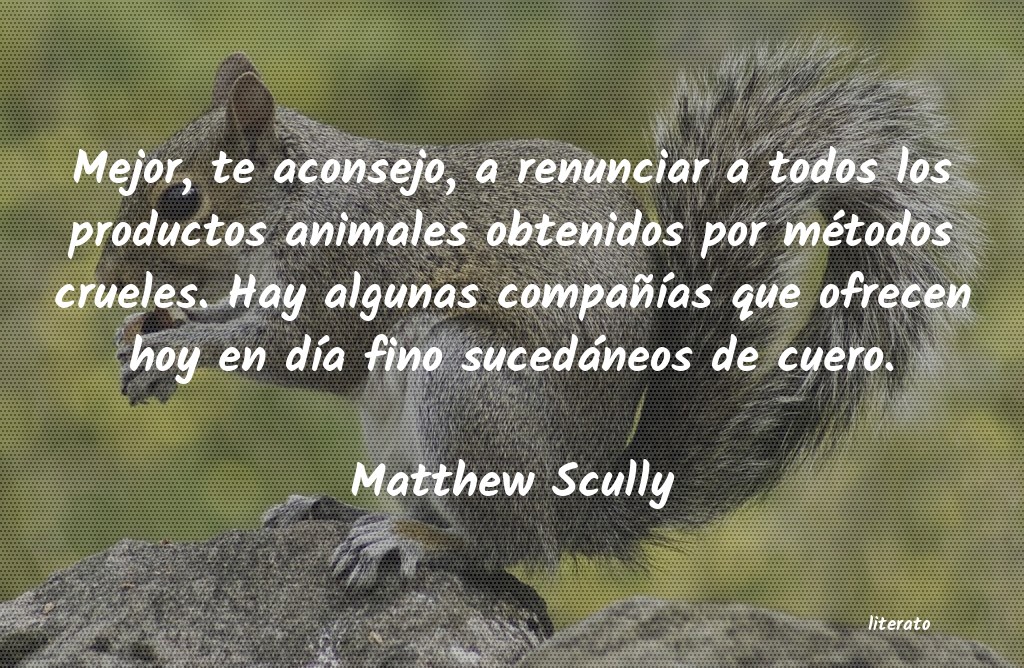 Frases de Matthew Scully