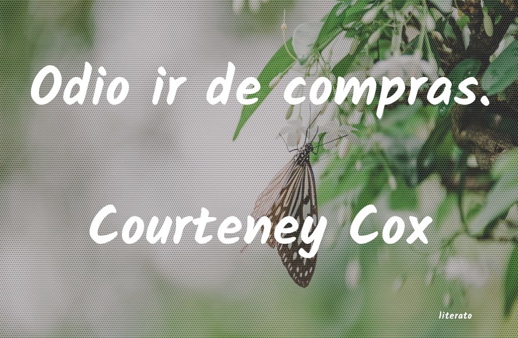 Frases de Courteney Cox