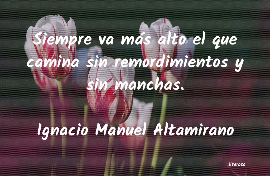 frases de Ignacio Manuel Altamirano