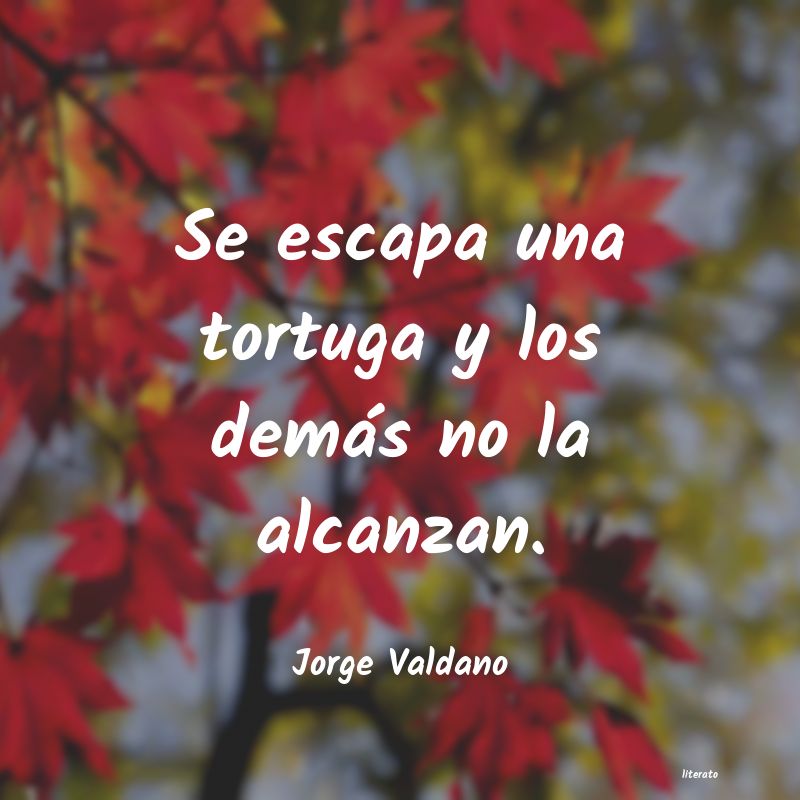 Frases de Jorge Valdano