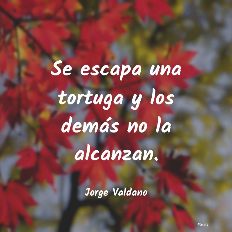 frases de Jorge Valdano