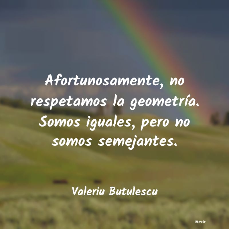 Frases de Valeriu Butulescu