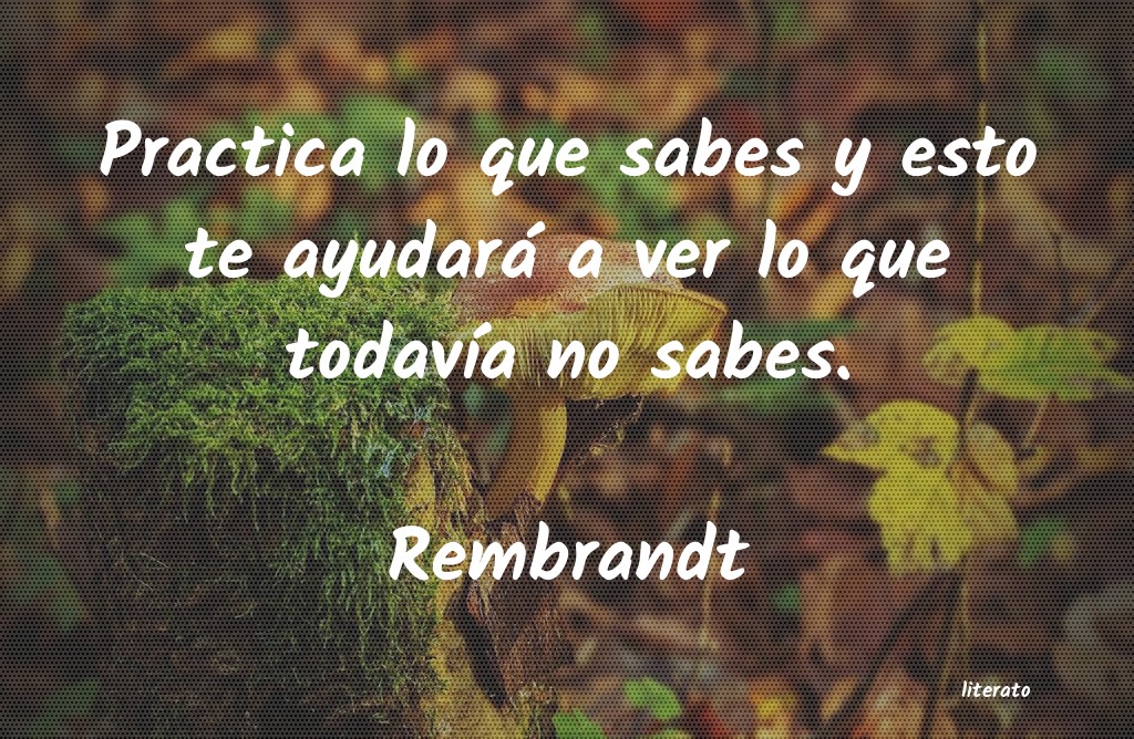 Frases de Rembrandt