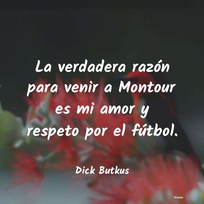 frases de Dick Butkus