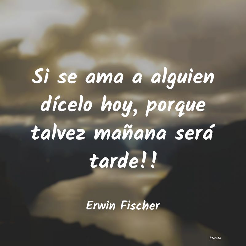 Frases de Erwin Fischer