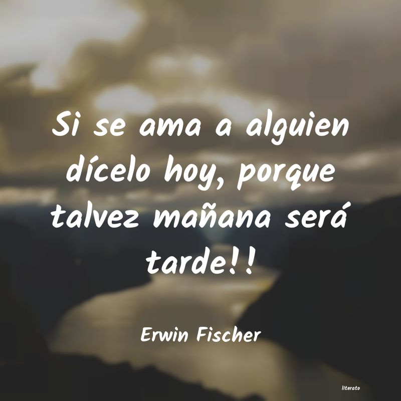 frases de Erwin Fischer