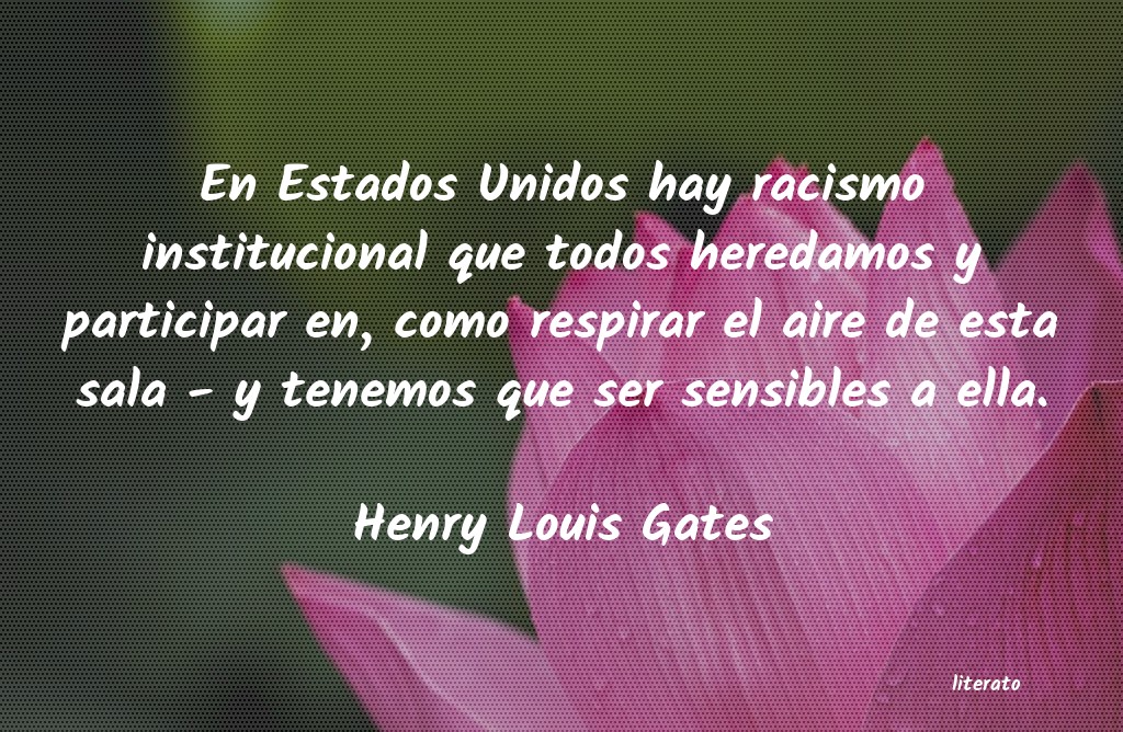 Frases de Henry Louis Gates