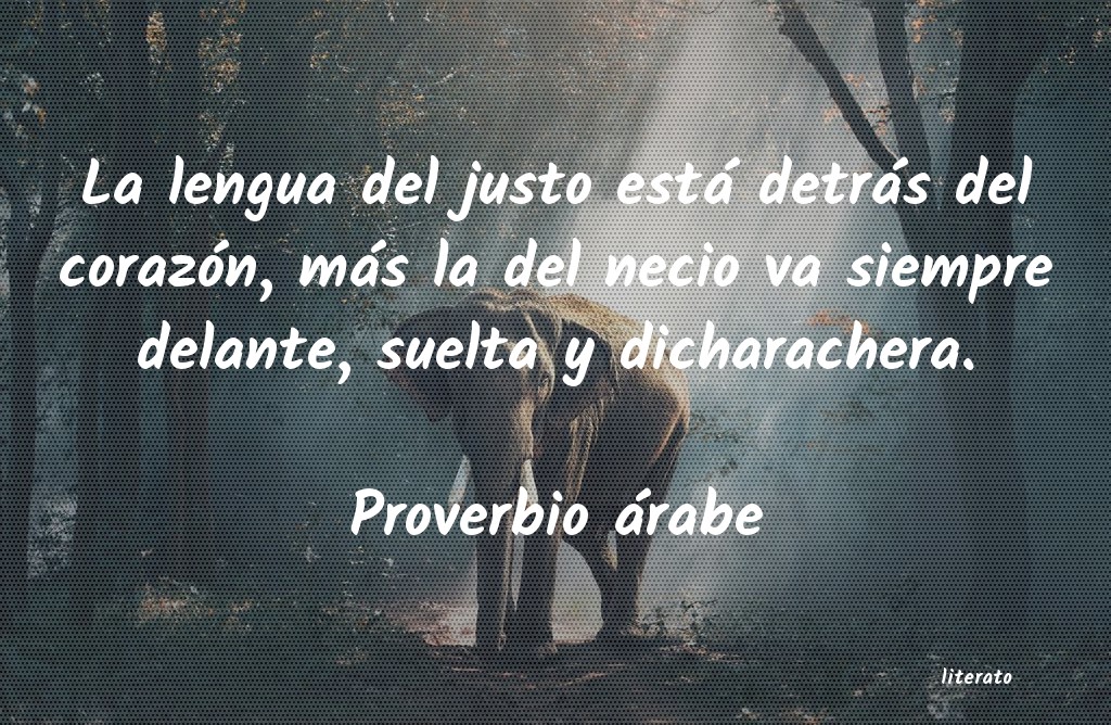 Frases de Proverbio árabe